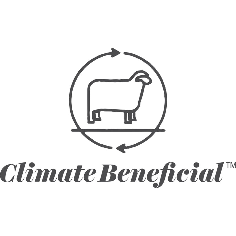 Wool Dish Sponges — Climate Beneficial™, Case of 48