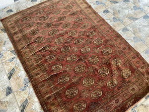 Vintage Turkoman Bukhara Wool Rug | 4'7" × 6'9" — Hand-Knotted c. 1950s