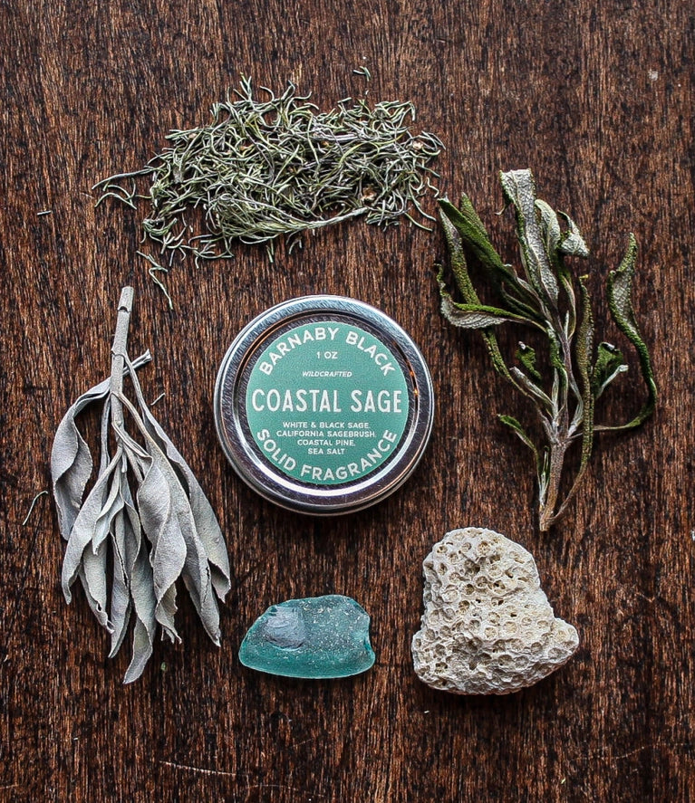 Coastal Sage Solid Fragrance | 1 oz