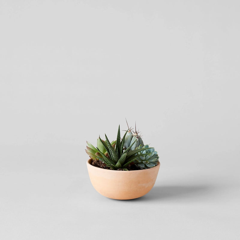 Half Sphere Terra Cotta Planter | 5.5" DIA