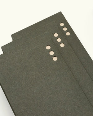 Analog Starter Kit | Walnut