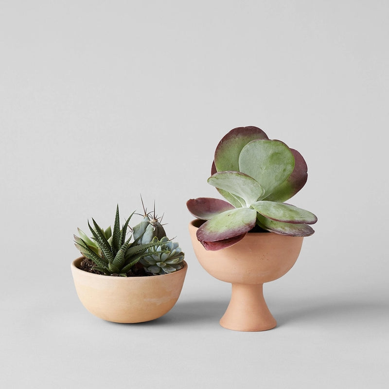 Half Sphere Terra Cotta Planter | 5.5" DIA