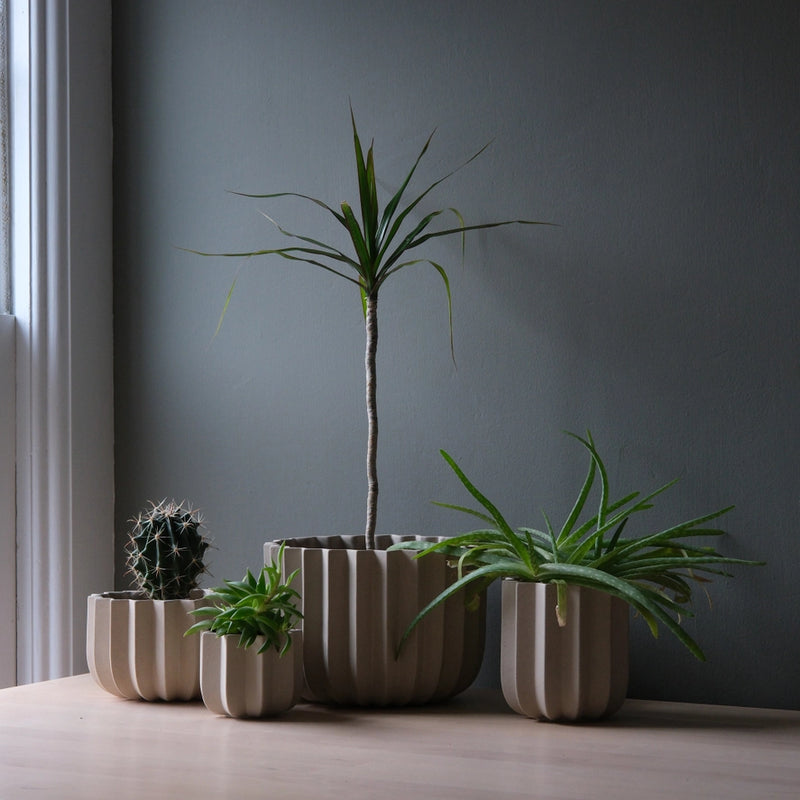 Misewell Wrap Ceramic Planter | 9" | Black