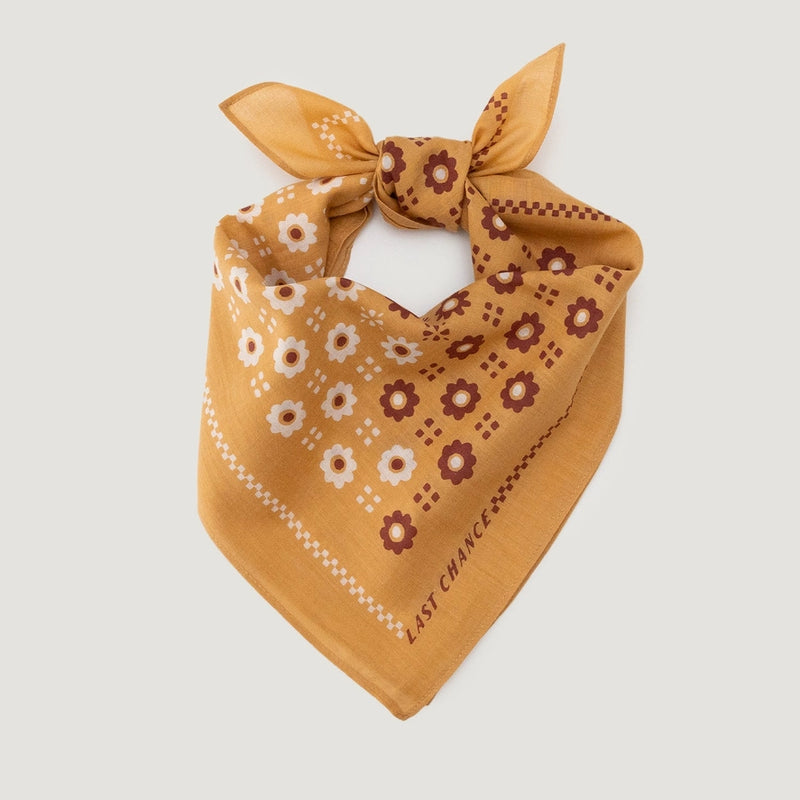 Switcheroo | Cotton Reversible Bandana | Honey