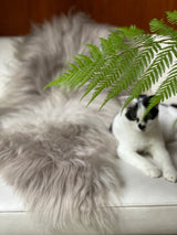 Icelandic Sheepskin | Natural Gray | Large