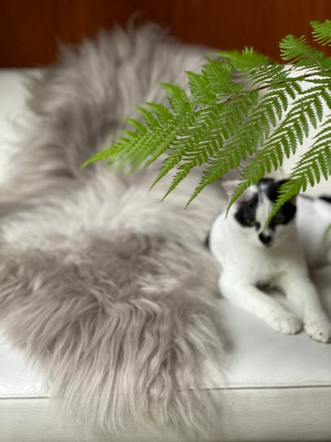 Icelandic Sheepskin | Natural Gray | Large