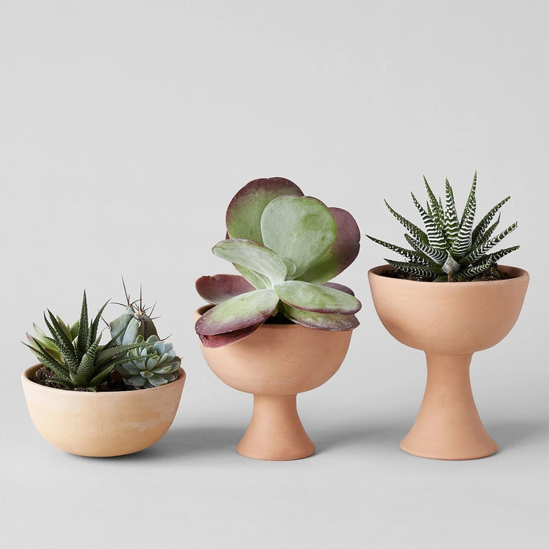 Half Sphere Terra Cotta Planter | 5.5" DIA