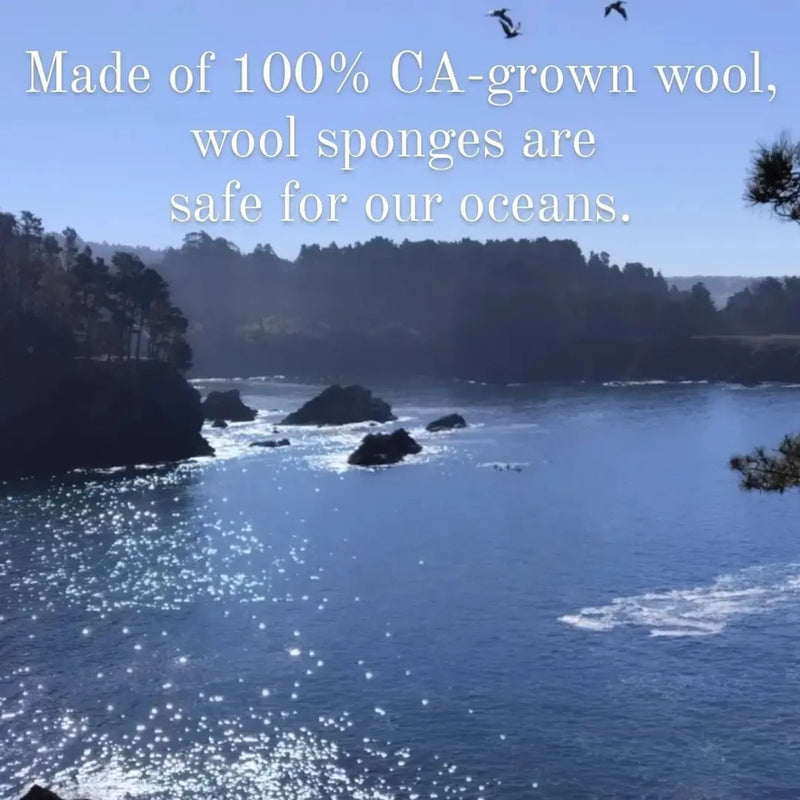 Wool Dish Sponges — Climate Beneficial™, Case of 48