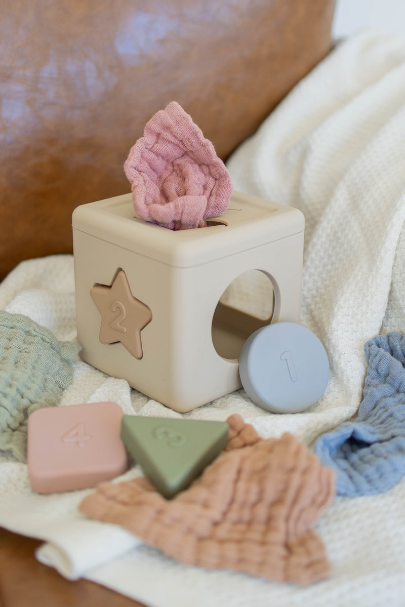 Silicone Shape Sorter with Muslin Cloths | BPA-Free Toy
