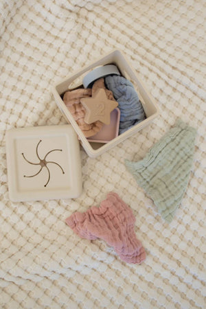 Silicone Shape Sorter with Muslin Cloths | BPA-Free Toy