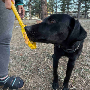 eStick Hand-Held Dog Enrichment Toy | Interactive Lick Stick | USA Made