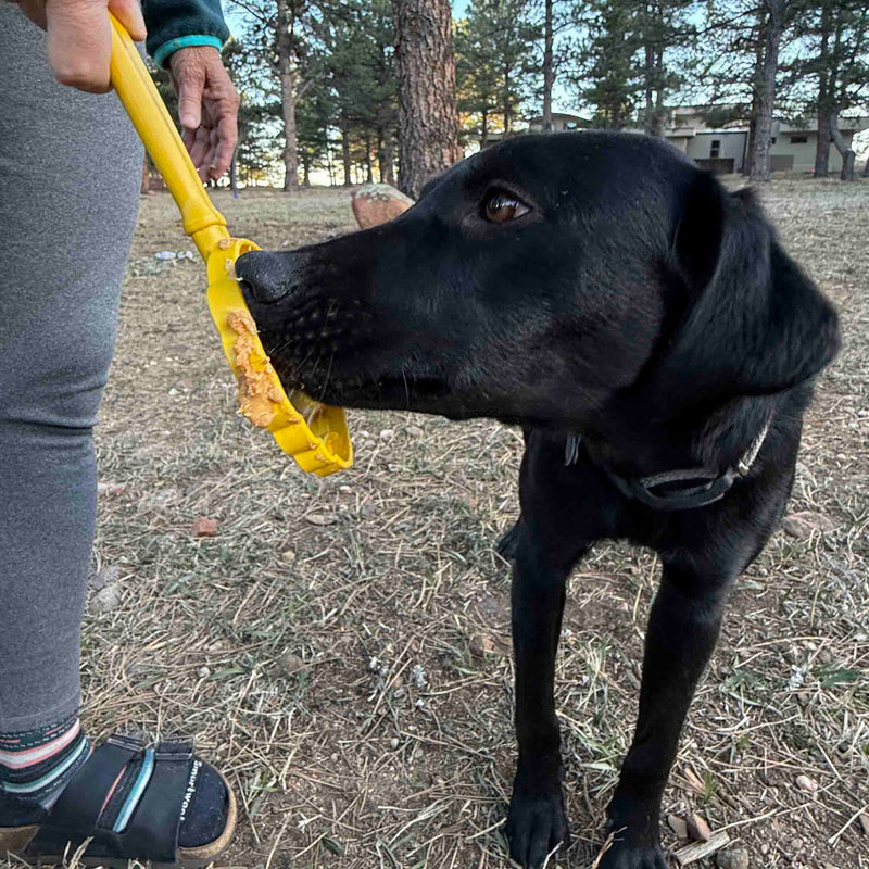 eStick Hand-Held Dog Enrichment Toy | Interactive Lick Stick | USA Made
