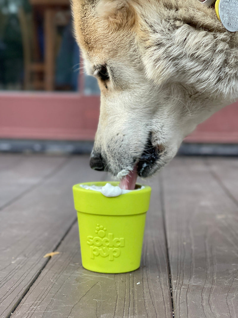 Large Flower Pot eCup Dog Treat Dispenser | Durable Rubber | USA-Made