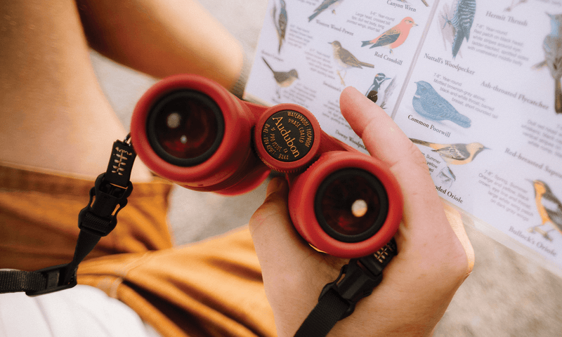 Pro Issue 8x42 Waterproof Binoculars | BaK4 Prisms | IPX7 Rated
