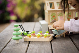 Greenhouse and Garden Set | Plywood Playset | 18.9" x 11.81" x 8.27"