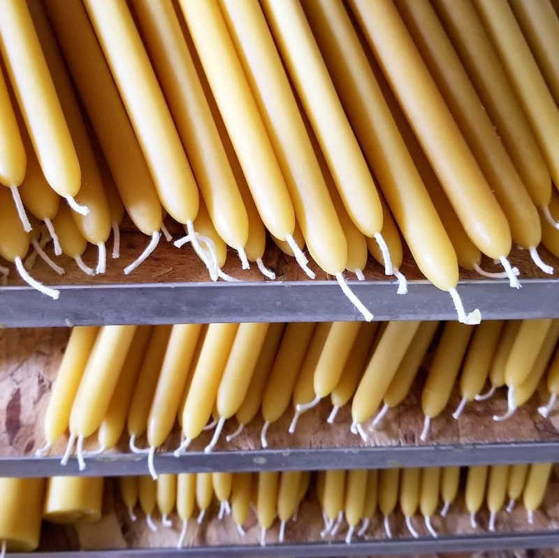 10" Beeswax Taper Candles | 4-Pack | Hand-Fluted Base