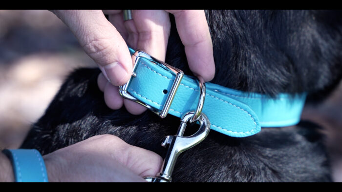 Italian Leather Dog Collar | 1" x 20" | Center Bar Buckle