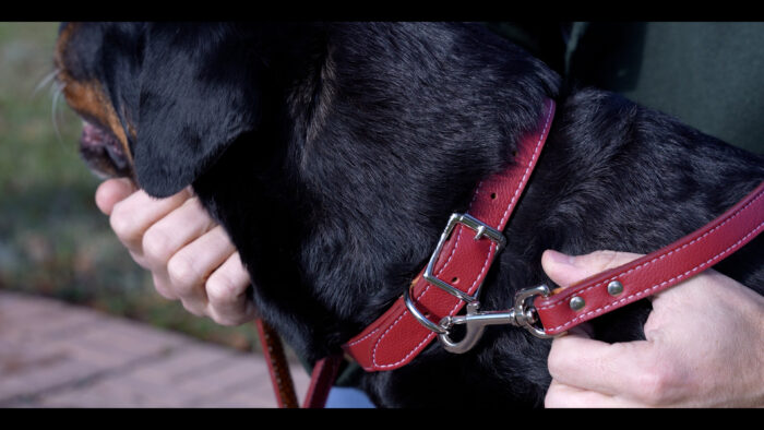 Italian Leather Dog Collar | 1" x 20" | Center Bar Buckle