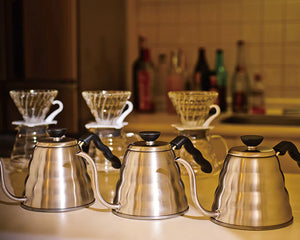 V60 Buono Drip Kettle | Stainless Steel | 800mL