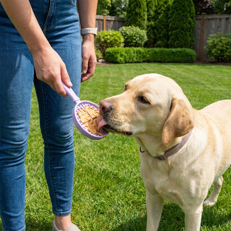 eStick Hand-Held Dog Enrichment Toy | Interactive Lick Stick | USA Made