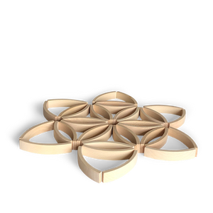 Abel Blocks Mini 36 | Curved Beech Building Blocks | 60° Arcs