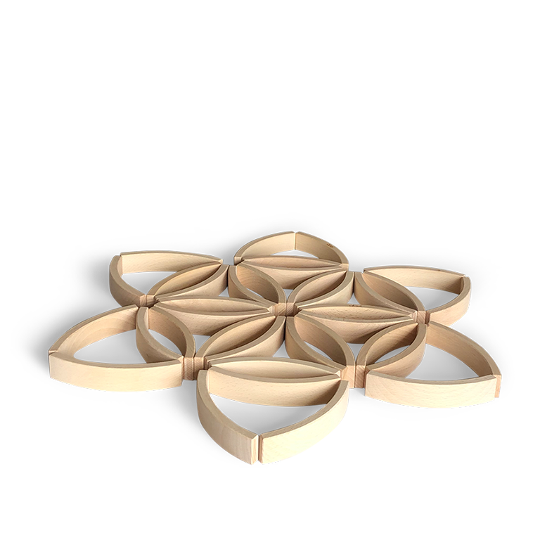 Abel Blocks Mini 36 | Curved Beech Building Blocks | 60° Arcs