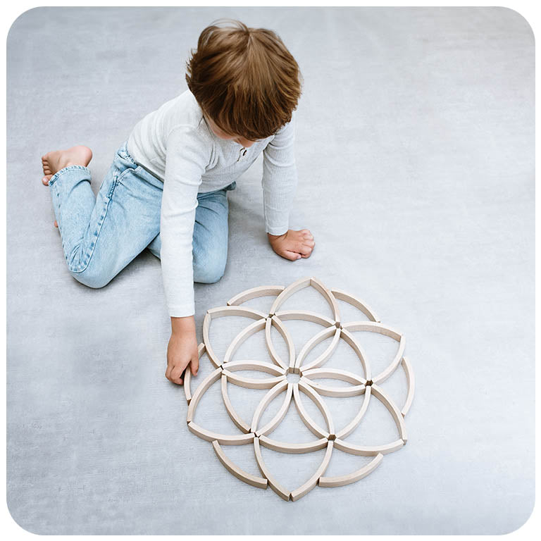 Abel Blocks Mini 36 | Curved Beech Building Blocks | 60° Arcs