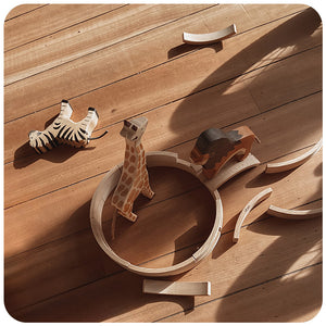 Abel Blocks Mini 12 | Curved Beech Wood | 60° Arc