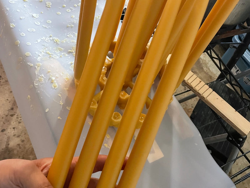 Hand-Dipped Beeswax Taper Candles | Sold in Pairs