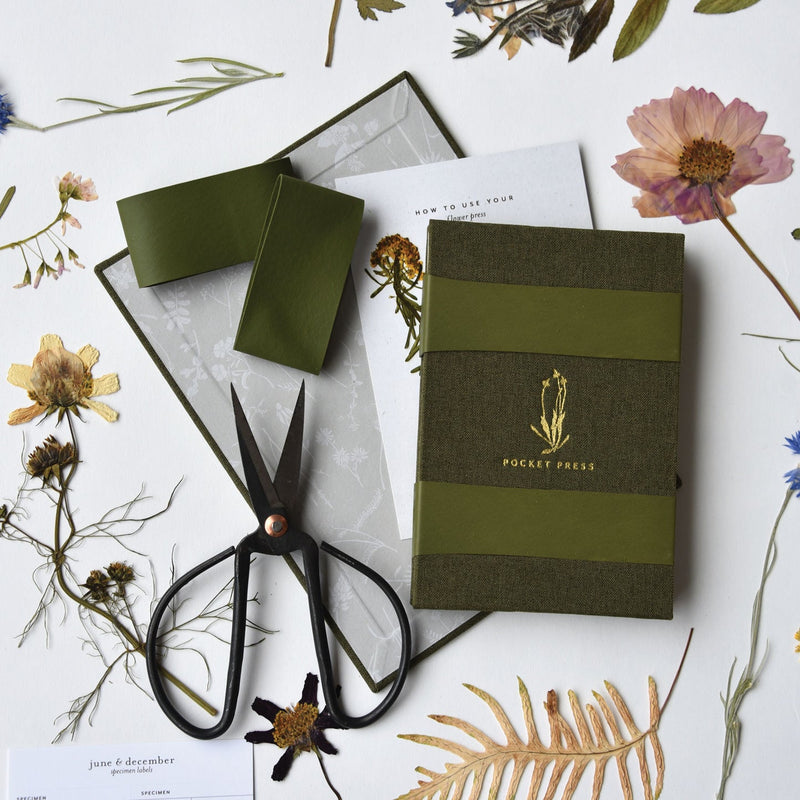 Field Flower Press | Reusable Botanical Press | Made in USA