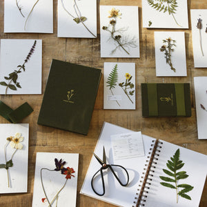 Field Flower Press | Reusable Botanical Press | Made in USA