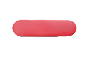 Stainless Fork & Slim Case