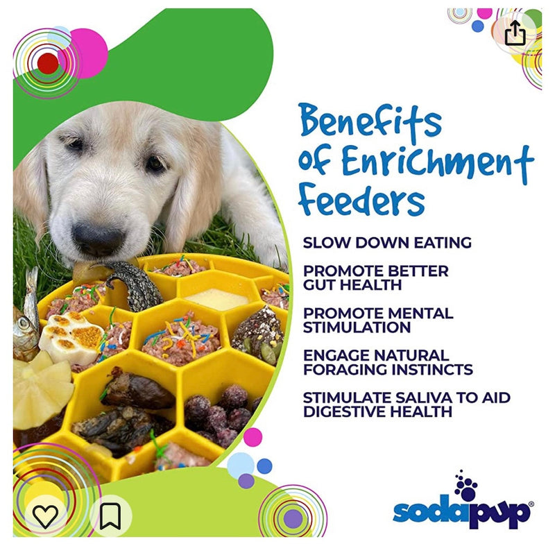 Honeycomb eBowl Deep Slow Feeder Dog Bowl | USA Made