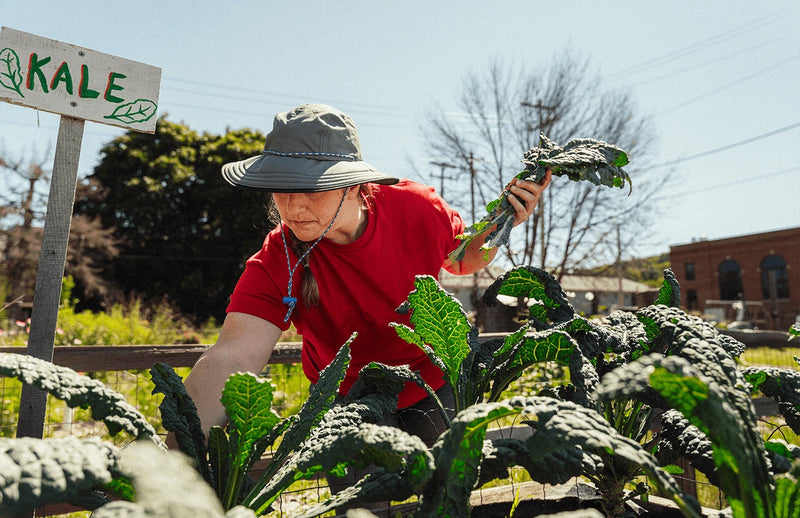 The Forager Hat | 100% Cotton Ripstop | 4" Brim