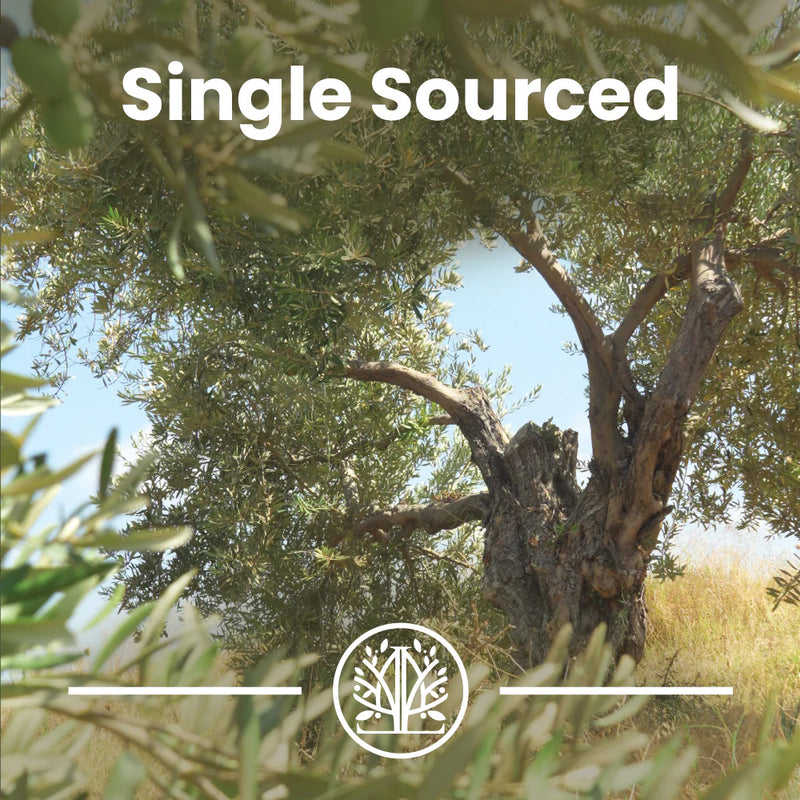 Stone-Pressed Extra Virgin Olive Oil | First Cold Press | Unfiltered | 16.9 oz