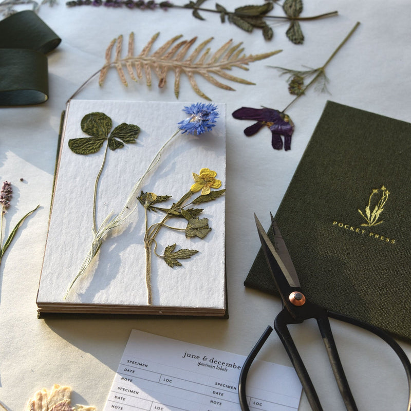Field Flower Press | Reusable Botanical Press | Made in USA
