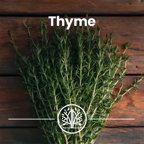 Za'atar | Handpicked Levantine Blend | Wild Thyme, Sumac, Sesame | 170g