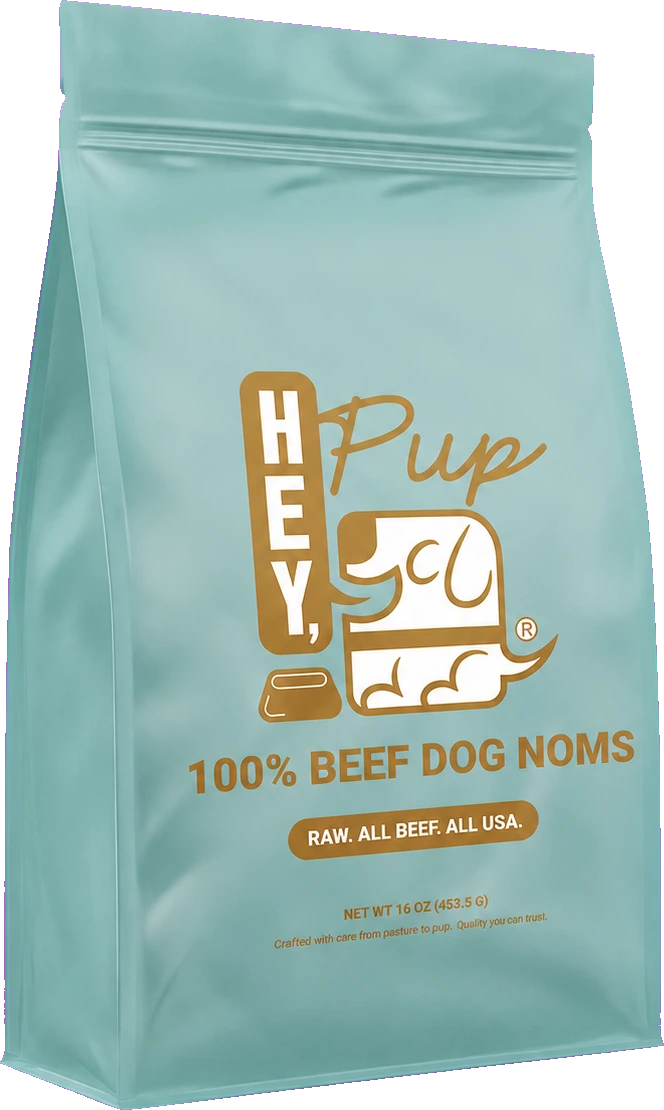 HeyPup 100% Beef Dog Noms treat bag