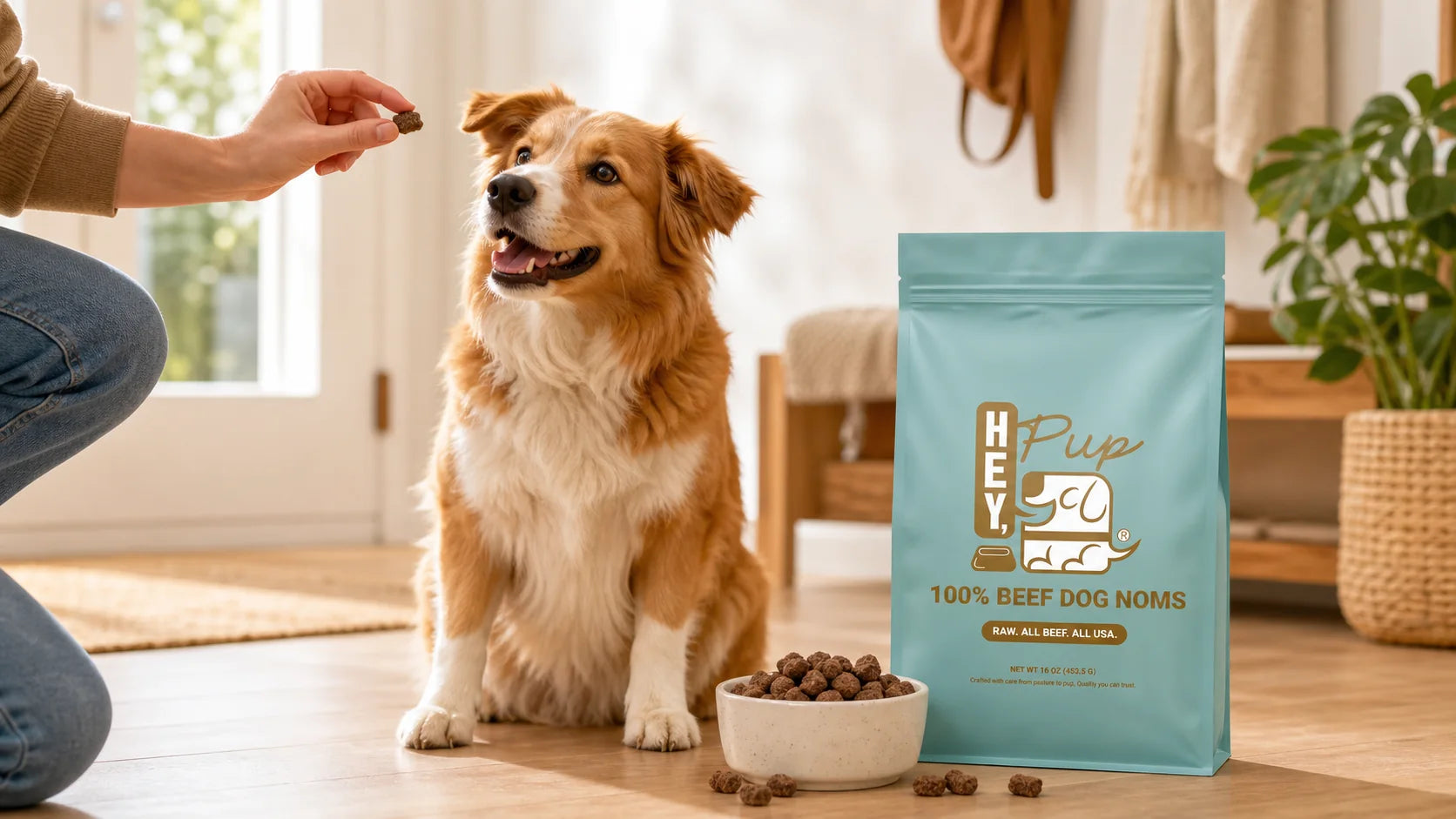 Dog being trained with HeyPup Beef Noms treats